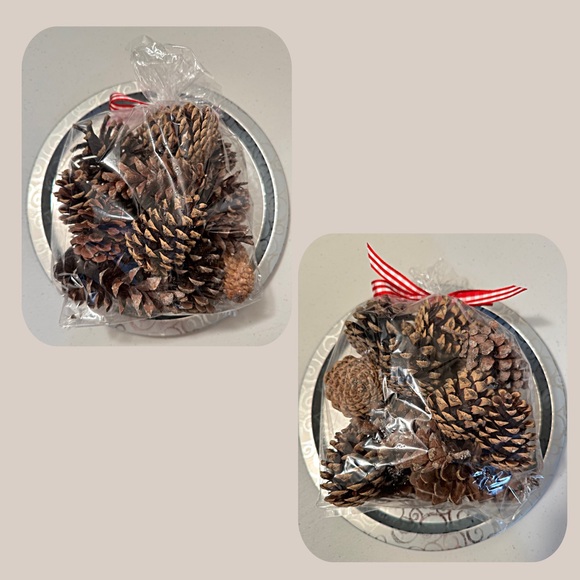 Pinecones Assorted Holiday Decor - Picture 5 of 5
